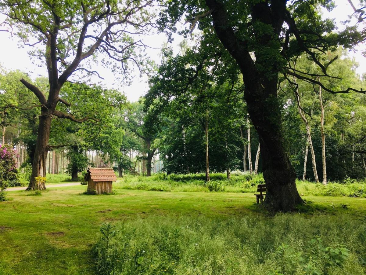 Hollicarrs - Long Lane Lodge York Dış mekan fotoğraf